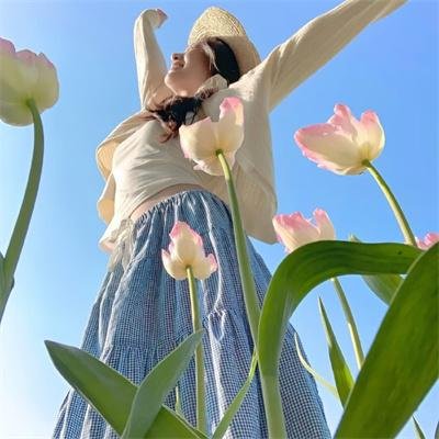 冰原小恐龙